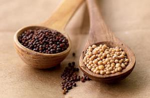 Mustard Seeds Yellow